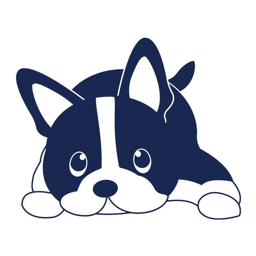 テリーくん